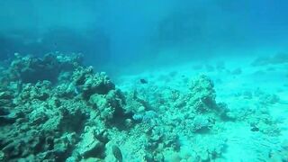 Эль-Гуна - рифы и береговые подходы для рыбалки