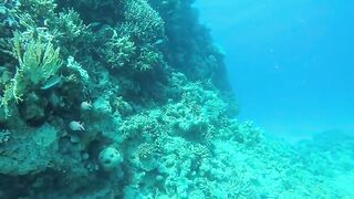 Эль-Гуна - рифы и береговые подходы для рыбалки