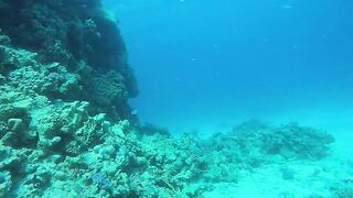 Эль-Гуна - рифы и береговые подходы для рыбалки