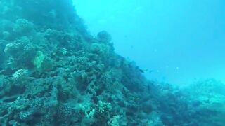 Эль-Гуна - рифы и береговые подходы для рыбалки