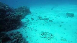 Эль-Гуна - рифы и береговые подходы для рыбалки