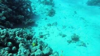 Эль-Гуна - рифы и береговые подходы для рыбалки