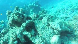 Эль-Гуна - рифы и береговые подходы для рыбалки