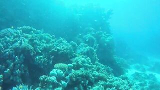 Эль-Гуна - рифы и береговые подходы для рыбалки