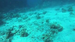 Эль-Гуна - рифы и береговые подходы для рыбалки