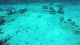 Эль-Гуна - рифы и береговые подходы для рыбалки