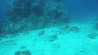 Эль-Гуна - рифы и береговые подходы для рыбалки