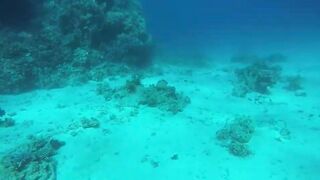 Эль-Гуна - рифы и береговые подходы для рыбалки