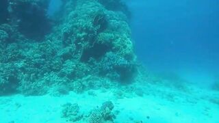 Эль-Гуна - рифы и береговые подходы для рыбалки