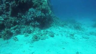 Эль-Гуна - рифы и береговые подходы для рыбалки