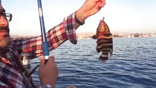 Красное море, Макади и Сафага рыбалка без лишних слов