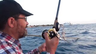 Красное море, Макади и Сафага рыбалка без лишних слов