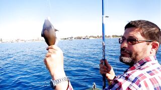 Красное море, Макади и Сафага рыбалка без лишних слов