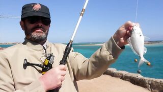 Красное море, Макади и Сафага рыбалка без лишних слов