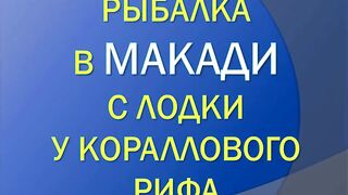 Красное море, Макади и Сафага рыбалка без лишних слов