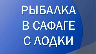 Красное море, Макади и Сафага рыбалка без лишних слов