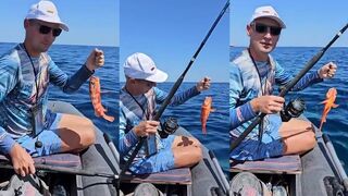 Soma Bay (бухта Сома) в Hurghada (Хургада) по коралловому груперу что посоветуете