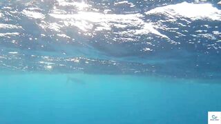 Soma Bay (бухта Сома) марлин и маршрут по точкам