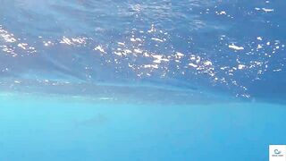 Soma Bay (бухта Сома) марлин и маршрут по точкам