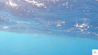 Soma Bay (бухта Сома) марлин и маршрут по точкам