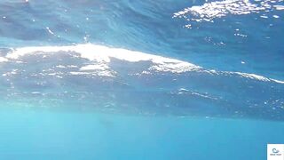 Soma Bay (бухта Сома) марлин и маршрут по точкам