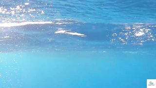 Soma Bay (бухта Сома) марлин и маршрут по точкам