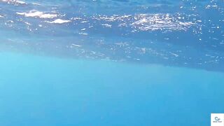 Soma Bay (бухта Сома) марлин и маршрут по точкам