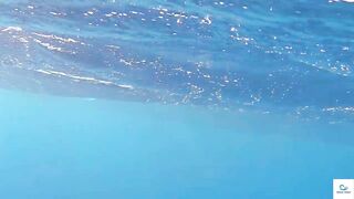 Soma Bay (бухта Сома) марлин и маршрут по точкам