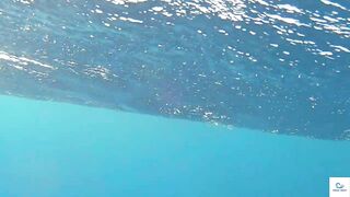 Soma Bay (бухта Сома) марлин и маршрут по точкам