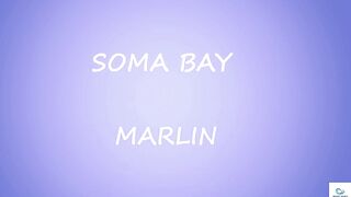 Soma Bay (бухта Сома) марлин и маршрут по точкам