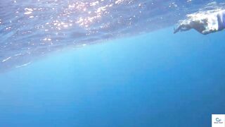 Soma Bay (бухта Сома) марлин и маршрут по точкам