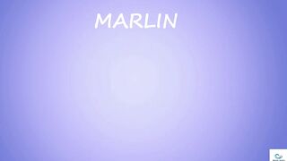 Soma Bay (бухта Сома) марлин и маршрут по точкам