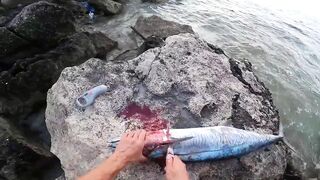 Рыбалка в Египте - поимка огромной макрели, чуть не без пальца