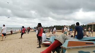 Негомбо, Шри-Ланка рыбалка в ноябре 2018