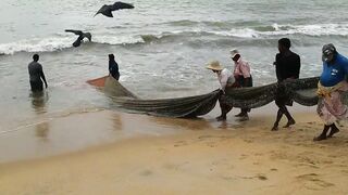 Негомбо, Шри-Ланка рыбалка в ноябре 2018