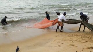 Негомбо, Шри-Ланка рыбалка в ноябре 2018