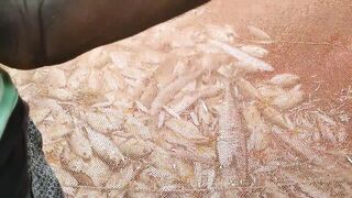 Негомбо, Шри-Ланка рыбалка в ноябре 2018