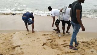 Негомбо, Шри-Ланка рыбалка в ноябре 2018