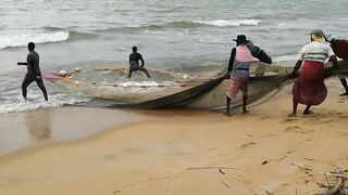 Негомбо, Шри-Ланка рыбалка в ноябре 2018