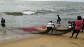 Негомбо, Шри-Ланка рыбалка в ноябре 2018