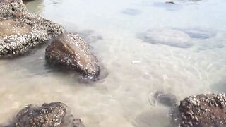 Тринкомали, Шри-Ланка выловил рыбку из Индийского океана