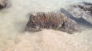 Тринкомали, Шри-Ланка выловил рыбку из Индийского океана