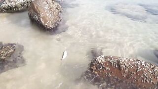 Тринкомали, Шри-Ланка выловил рыбку из Индийского океана