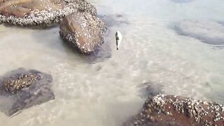 Тринкомали, Шри-Ланка выловил рыбку из Индийского океана