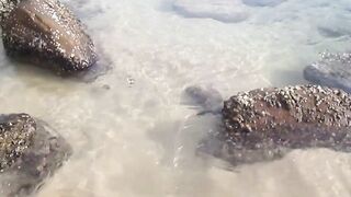 Тринкомали, Шри-Ланка выловил рыбку из Индийского океана