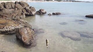 Тринкомали, Шри-Ланка выловил рыбку из Индийского океана