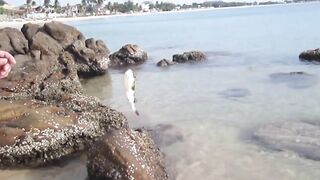 Тринкомали, Шри-Ланка выловил рыбку из Индийского океана