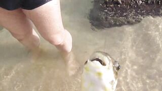 Тринкомали, Шри-Ланка выловил рыбку из Индийского океана