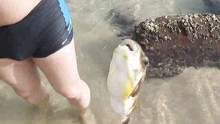 Тринкомали, Шри-Ланка выловил рыбку из Индийского океана