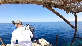 Рыбалка в Египте в море: коралловая бухта, пирс, трофейные каранксы